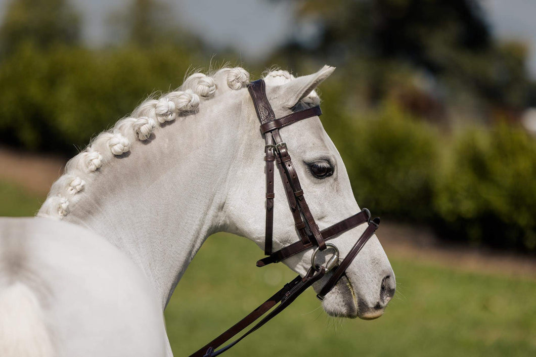 VALUTHA - Flat show bridle